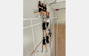 D3 D3 Mx 49-SCB-3 D3 contre 49-ASIBAD-1 D3